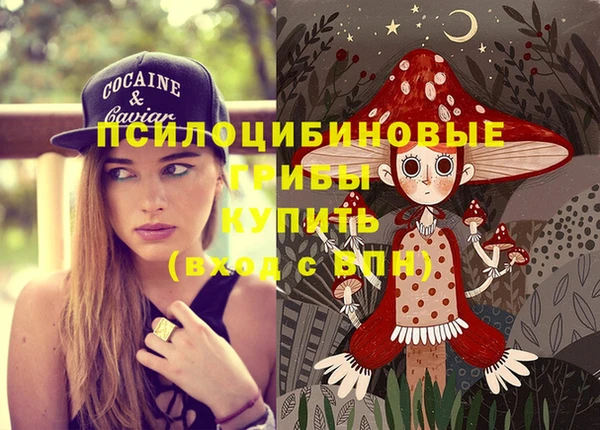 не бодяженный Верхний Тагил