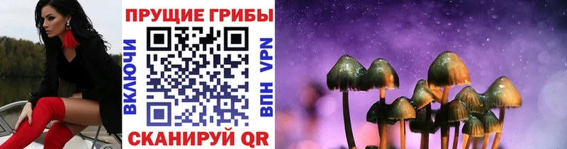 Галлюциногенные грибы GOLDEN TEACHER  Георгиевск 