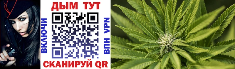 Конопля SATIVA & INDICA наркошоп Георгиевск